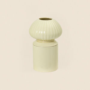 Senecio Jaune Beurre