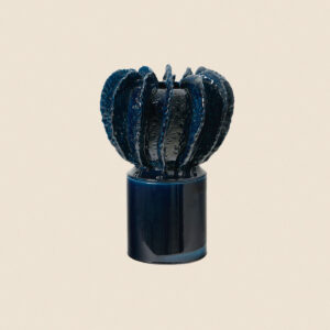 Acropora Bleu Marine