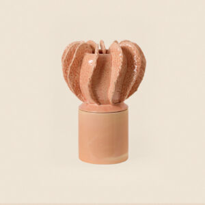 Acropora Rose Pastel