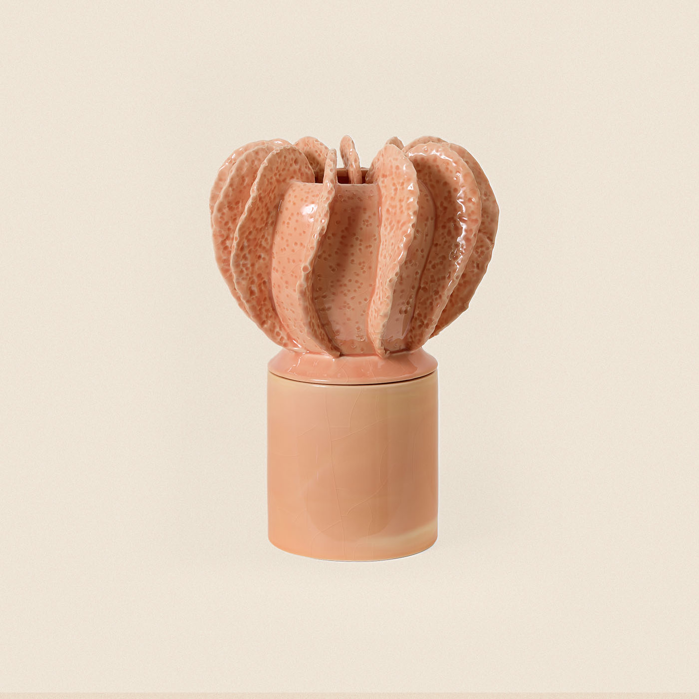 Acropora Rose Pastel